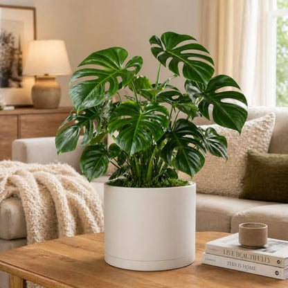 Giraffe Creation 10 Inch Cylinder Plant Pot, Modern Round Planter with Drainage Holes and Saucer, Lightweight Plastic Flower Pot for Indoor Outdoor Plants, White - color: White 10 Inch