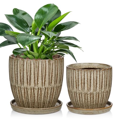 Oairse Ceramic Pots for Indoor Plants, 4.7 +5.7 inch Pots for Plants Set of 2 Brown Plant Pots with Drainage Holes and Saucers Texture Ceramic Planters Indoor Outdoor Flower Pot for Succulent - style: Conical Shaped