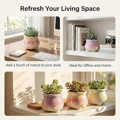 Ceramic Succulent Planters with Crackle Glaze, Gradient Color Small Flower Pots for Cacti and Plants, 3.23in Diameter x 2.8in Height, 4 Pack