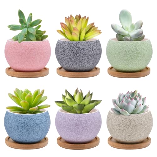 6 Pack Ceramic Succulent Pots with Drainage – Small Round Planters for Indoor Plants & Cactus, Mini Flower Pots with Bamboo Trays, Desk & Home Décor, Gift for Plant Lovers, Office, Balcony, Garden - style: Round