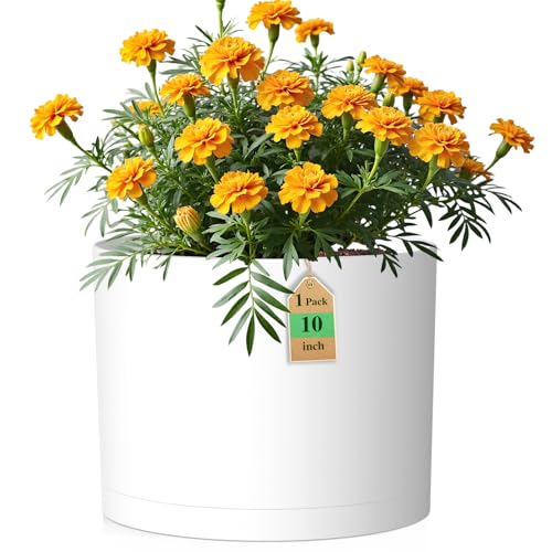 10 Inch Round Plastic Plant Pot with Drainage Holes and Saucer, Wide Flower Pots for Indoor & Outdoor Plants– 7.9" Tall Modern Cylinder Planter Pot for House Plants and Home Decorative, Matte White - color: White, size: 10 Inch B