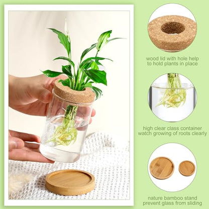 Layhit 4 Pcs Plants Propagation Stations vases Glass Planters with Wooden Lid and Bamboo Stand for Hydroponic Plants Gardening Gifts for Women Mom Home Office Tabletop Decoration(Classic Style) - style: Classic