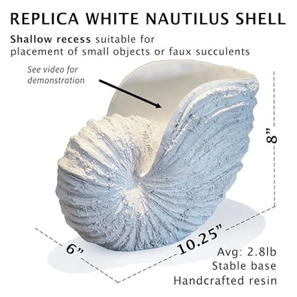Large Nautilus Shell Sculpture, White Seashell Beach Decor | Rustic white polyresin nautilus replica; 9.8 x 5.9 x 7.9 in; coastal shelf, tabletop, ocean-theme decor; gift boxed
