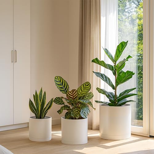 D'vine Dev 3-Pack Plastic Pots & Saucers, 6.5/8/10 in, Oatmeal, 74-V-H-4 | Multi-Size Options, Lightweight Durable, Matte Finish, Cylinder Shape, Drainage Holes, Sleek Design, Detachable Saucer - color: Oatmeal, size: Large