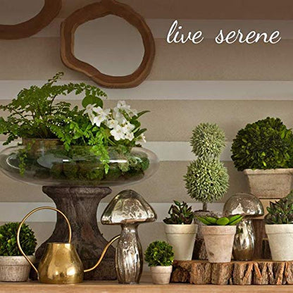 Serene Spaces Living Set of 6 Bud Vases with Gold Tip, Tealight, Pillar Holder, Decorative Vase, Ideal for Wedding, Birthday, Thanksgiving, Christmas - size: Set of 6