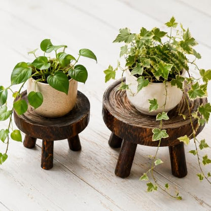 TOPZEA Set of 2 Mini Wooden Stool Display Stand, Wood Riser for Bonsai, Flower Pot, Small Potted Plant Stands Round Rustic Planter Stools Pedestal Risers for Garden, Patio, Home