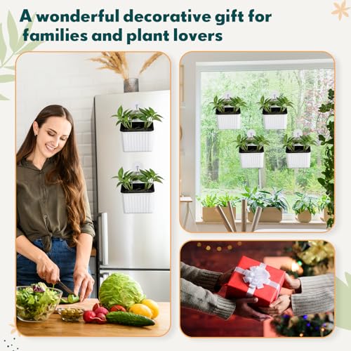 Hushee 4 Set Window Hanging Propagation Stations with Suction Cups Plastic Propagation Vases Propagated Plant Holder Wall Pots for Indoor Plants Office Home Garden Decoration Lover Gift (White) - style: White