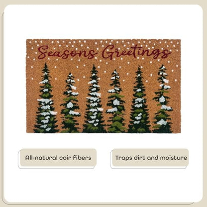 ACHIM Printed Coir Outdoor Front Door Mat, Winter Wonderland - 18 x 30 - Non-Slip Outdoor Welcome Doormat - Durable & Heavy Duty Welcome Mat for Outside with Natural Coir Fibers & Recycled Rubber