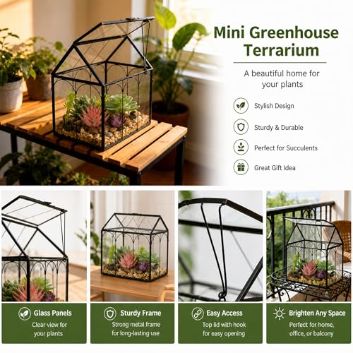 FerrisIsland Glass Plant Wardrobe Indoor Small Succulent Aquarium | FerrisIsland glass plant small succulent aquarium with desktop decoration DIY door (6 in long x 4.3 in wide x 6.3 in high) - size: 6" L x 4.3" W x 6.3" H
