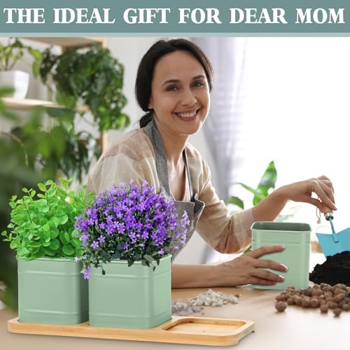 LemonRoad 6 Pcs Indoor Herb Planter Window Herb Pots for Kitchen with Drainage Hole and Bamboo Tray Farmhouse Metal Garden Planter Pot with DIY Label Mom Plant Gift(Sage Green,Square) - color: Sage Green