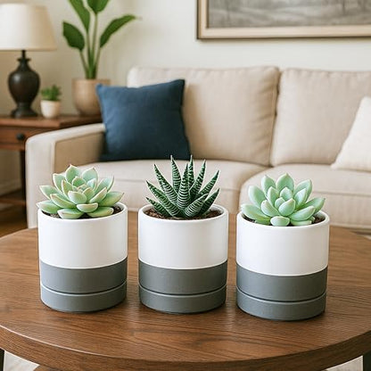 D'vine Dev 4-Pack Ceramic Pots with Saucers, White/Grey, 3.5 in, 94-X-A-6 | Glazed Ceramic, Drainage Hole and Saucer, Sleek Cylinder Shape, High Temperature Fired, Ideal for Small Houseplants - color: White/Speckled Grey, size: 3.5 Inch