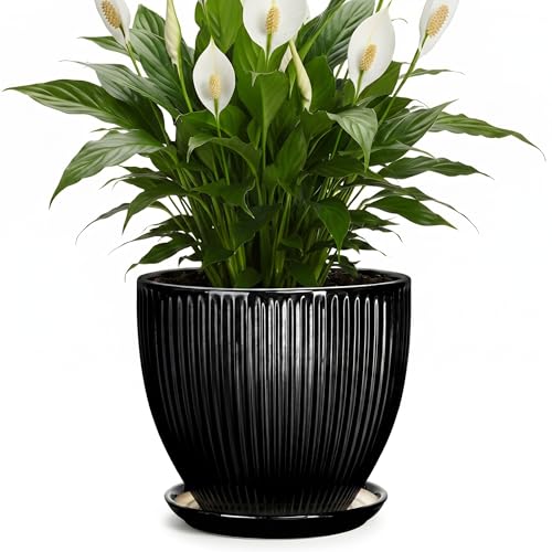 8 Inch Plant Pot, Ceramic Planter with Drainage Hole and Saucer, Modern Planters for Indoor Plants, Indoor Planter, Decorative Round Flower Pot, Apartment Decor, Plant Lover Gifts, Black - size: 8 Inch, style: Black