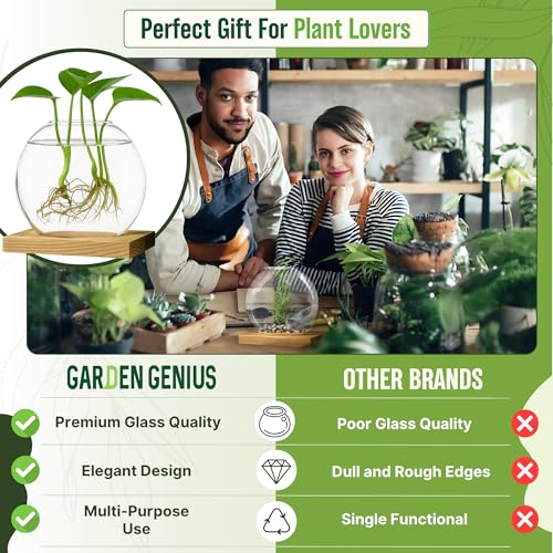 Single Glass Propagation Station with Wooden Base – Hydroponic Plant Terrarium for Home & Office | Ideal Christmas, New Year & Birthday Gift for Plant Lovers, Moms | Desktop Windowsill Planter Vase - size: Brown (Round Vase)