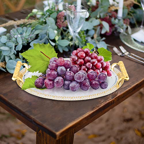 SHERCHPRY Household Fruits Tray European Style Serving Tray Food-Grade Stainless Steel Coffee Table for Fruit Snacks Cakes Barbecue 12.79 X 9.44 X 1.37 in 1 Pack