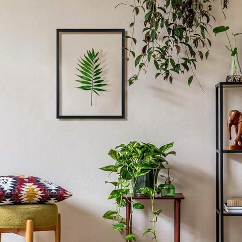 ONE WALL 18x24 Floating Frame, Black Wood Double Glass Float Picture Frame | Display 11x14/11x17/12x18/13x19/16x20 Photos or Plant or Petal Specimens for Wall Hanging, Mounting Kit Included - size: 18X24
