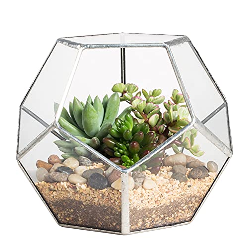 NCYP Small No Door Silver Glass Geometric Terrarium for Succulents Air Plants, 6.8 x 6.8 x 5.9 Inches, Indoor Home Garden Planter Pot, Tabletop Decor, Handmade (Only Terrarium) - color: Silver