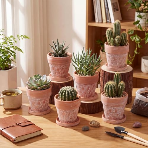 Set of 6 Embossed Succulent Pots 4" Small Terracotta Pots with Drainage Hole and Saucer Rustic Clay Succulent Planter Pot Decorative Ceramic Cactu Flower Pot for Indoor Outdoor(Lattice Style) - size: 4 Inch, style: Lattice Style