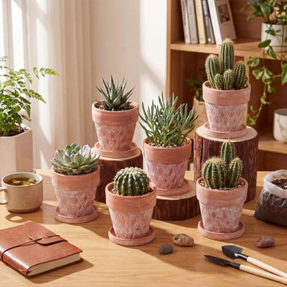 Set of 6 Embossed Succulent Pots 4" Small Terracotta Pots with Drainage Hole and Saucer Rustic Clay Succulent Planter Pot Decorative Ceramic Cactu Flower Pot for Indoor Outdoor(Lattice Style) - size: 4 Inch, style: Lattice Style