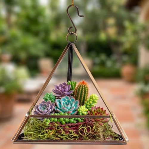 D'Eco Glass Copper Mini Triangle Tabletop or Hanging Planter Terrarium | Geometric Planter Terrarium, Fill Display w Succulents, Moss, Air Plants, Ferns, Home, Wedding & Office Decor, Dims:5x5x5"