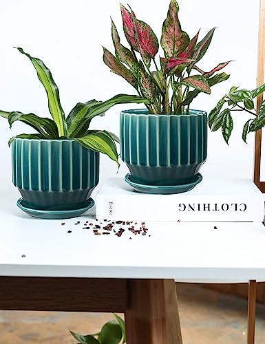Plant Pots 6 inch Ceramic Pots for Indoor Plants Set of 2 Flower Pots Unique Crackle Glaze Design Plant Pots with Drainage Hole and Saucer Come with Drainage Nets (Aqua Green) - color: Aqua Green