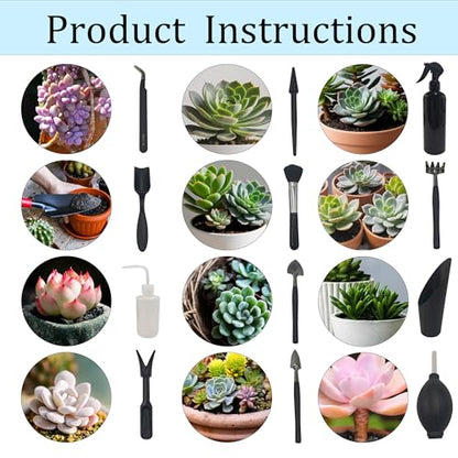 13Pcs Succulent Tools Set Mini Garden Tool Kit Transplanting Tools for Succulent Care Miniature Gardening Plant Watering Houseplant