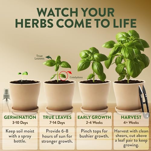 HOME GROWN Herb Garden Planter Indoor Kit – Unique Christmas Gift for Adults, Men, & Women - Grow 4 Heirloom Herb Seeds on Kitchen Window – Beginner DIY Craft & Hobby Gardening Gift for Plant Lovers - style: Starter Herb Grow Kit