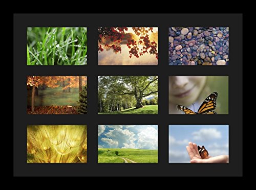 ArtToFrames Collage Photo Frame Single Mat with 9-4x6 Openings with Satin Black Frame and Black mat. - color: 9 - 4x6 - (2145), size: Black