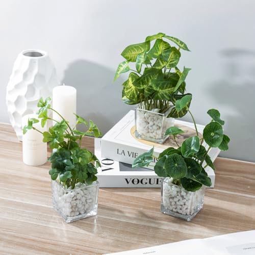 MyGift Artificial Clover and Taro Plants in Clear Glass Vase with Decorative White Stones, Set of 3 - color: Clear (White Pebbles)