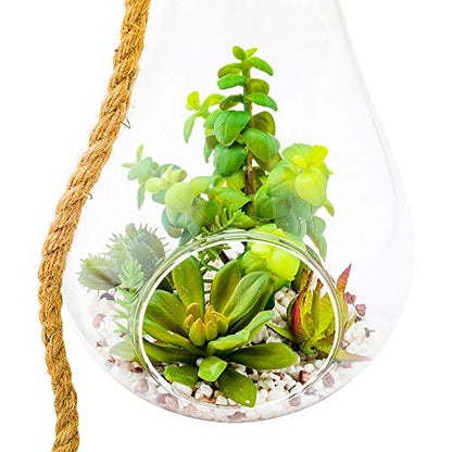Restaurantware-7.9 x 12.6 Inch Hanging Terrarium With Faux Succulent, 1 Artificial Succulent - In Hanging Glass Terrarium, With Knotted Hemp Rope, Plastic Hanging Succulent, Patio Or Home Decor