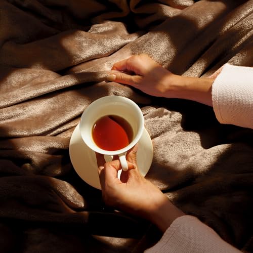 NANPIPER Queen Size Blanket - Lightweight Soft Fleece for Adults All-Season Coffee Brown 90"x90" - color: Chocolate, size: Queen
