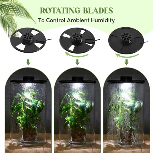 Glass Plant Terrarium Kit with LED Grow Light, Desk Terrarium for Venus Fly Trap, Succulents, Moss & Miniature Garden, Borosilicate Glass Desktop Planter for Home Office(9.8 x 5.9 Inch) - size: 9.8 x 5.9 Inch
