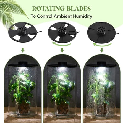 Glass Plant Terrarium Kit with LED Grow Light, Desk Terrarium for Venus Fly Trap, Succulents, Moss & Miniature Garden, Borosilicate Glass Desktop Planter for Home Office(9.8 x 5.9 Inch) - size: 9.8 x 5.9 Inch