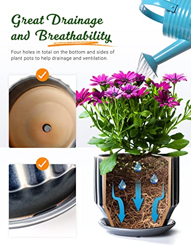 Plant Pots 6 inch Ceramic Pots for Indoor Plants Set of 2 Flower Pots Unique Crackle Glaze Design Plant Pots with Drainage Hole and Saucer Come with Drainage Nets (Grey) - color: Gray