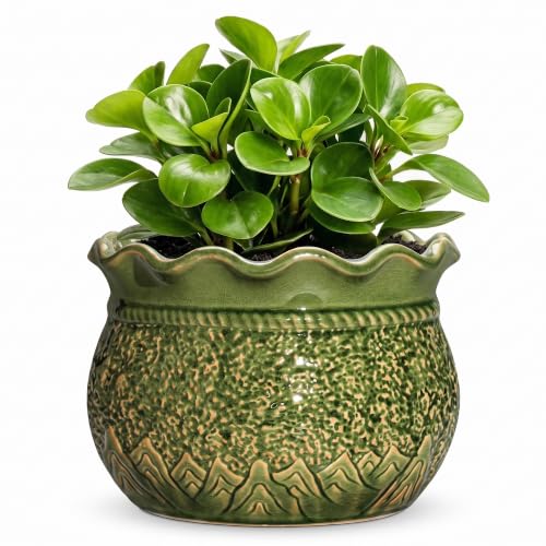 6 Inch Ceramic Pots for Plants, Indoor Plant Pots, Crack Green | Round Decorative Planter with Drainage Hole, Unique Planters for Indoor, Garden Office Decor, House Warming Gifts - color: Crack Green, size: 6 Inch