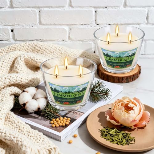 2 Pack 3-Wick Glass Cup Citronella Candles(14oz), Natural Soy Wax Clean Burning & Smokeless,citronella Scented Candle & Outdoor Candle,Camping Bar Counter Yard, Summer Gift. - color: 2Pack1-3WickClear cup