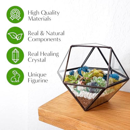 Creations by Nathalie DIY Geometric Glass Terrarium Kit with Moss & Tools | DIY geometric glass terrarium kit with moss, tools, and supplies for creating an indoor terrarium display with your plants. - color: 7” Geometric Dodecahedron