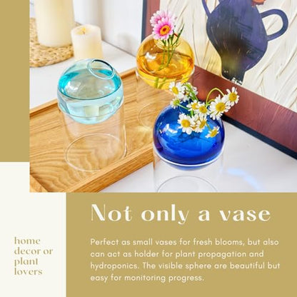 3-Pack Plant Propagation Station, Geometric Glass Vase Set | Mini Flower Vases & Planter Terrariums for Tables - color: Blue + Aqua + Amber