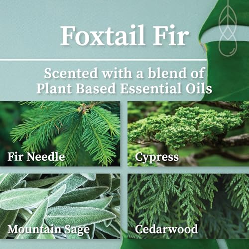 Hemlock Park Foxtail Fir Frosted Crackling Wood Wick Candle | 7.2 oz | Coconut Apricot Wax | Crackling Wood Wick | Botanical Fragrance | Made in USA