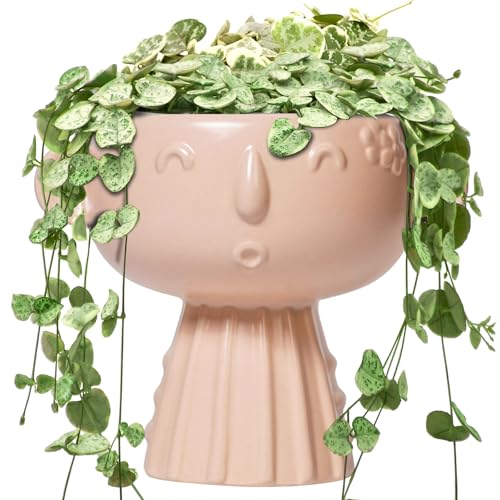 Face Flower Pots - 7 Inch Ceramic Pots for Plants Indoor Outdoor, Decorative Head Planter, Small Cute Succulent Planters with Drainage Hole, Room House Decor, Gifts for Plant Lover, Matte Pink - color: Matte Pink-girl