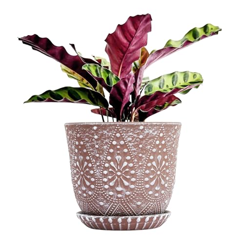 Gepege 8 Inch Ceramic Plant Pot with Drainage & Saucer | Large ceramic plant pot with drainage hole, ceramic saucer and mesh pad, ideal for indoor plants, flowers and houseplants - color: Clay+white, size: 8 Inch