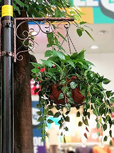 4pcs 14 inch Black Hanging Basket Chain with Hooks Flower Plant Pot Replacement Chain Hanger for Bird Feeders,Planters,Lanterns and Ornaments - size: 14 inch (4pcs)