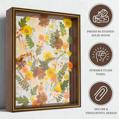 Pressed Flower Frame 11x14 Floating Glass for Dried Flowers