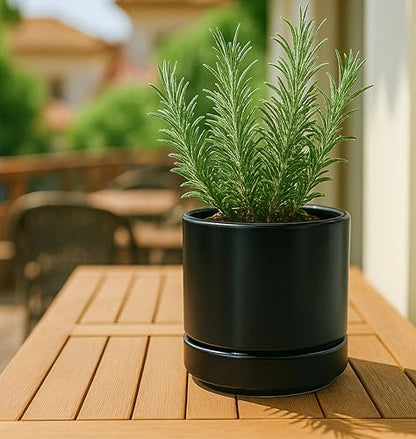 D'vine Dev 2-Pack Ceramic Pots & Saucers, Black, 3.5/4.7 in, 94-G-XS-2 | Glazed Ceramic, Drainage Hole, Perfect-Fit Saucer, Sleek Cylinder Shape, High Temperature Fired, Elegant Home Accent - color: Black, size: X-Small