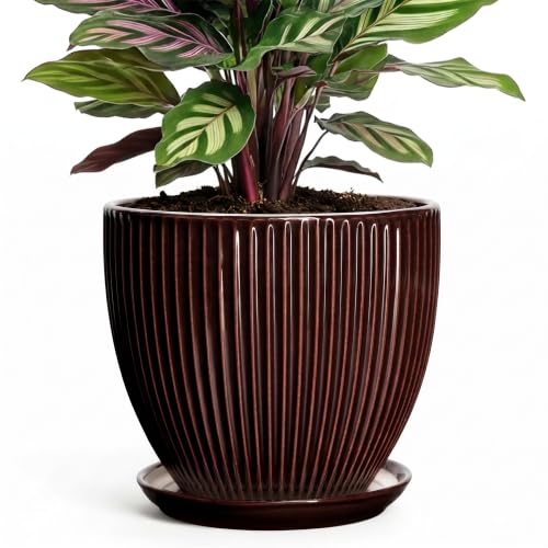 6 Inch Planter, Ceramic Plant Pots Indoor with Drainage Hole and Saucer, Round Flower Orchid Pots for Indoor Plants, Succulent Pot, Small Modern Planter, Bathroom Decor, Brown - size: 6 Inch, style: Brown