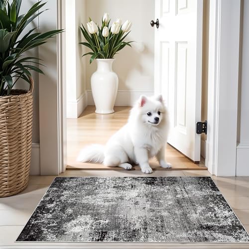 2x3 Washable Entryway Rug – Non-Slip Modern Abstract Neutral Small Throw Area Rug for Kitchen, Bedroom – Soft Low Pile Thin Indoor Door Mat（Black Grey,2x3） - color: Black Grey, size: 2' x 3' (Rectangular)