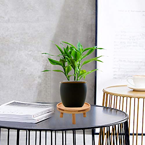 ARTORA Mid Century Modern Plant Stand, Wood Indoor Plant Holder Succulents Plant Pot Raiser Decorative Corner Planter Stand for Small to Medium Plants (Natural 2PCS)