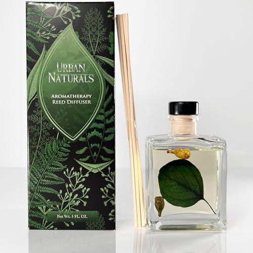 Reed Diffuser Set, Sandalwood & Eucalyptus - Bathroom Décor | Made with Essential Oils & Real Botanicals, Sleek Rectangular Refillable Glass Bottle, Made in the USA - color: Sandalwood & Eucalyptus