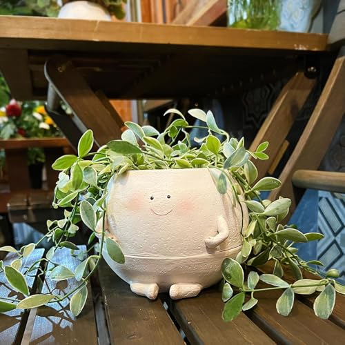 NINIPAPA Self Watering Plant Pot 4 Inch Cute Smile Face Planter Pot for Indoor Outdoor Plants with Drainage Hole Unique Flower Pots for Succulent/Herbs/Violets