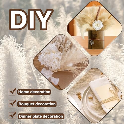 50 PCS Tall Pampas Grass for Floor Vase – 17" Natural Fluffy Dried Pampas Grass Stems, Large 20 White & 30 Brown Pоmpas Grass, Boho Pampas for Wedding, Home Decor, Halloween, Christmas