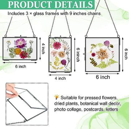 Geetery 9 Pcs Glass Frame for Pressed Flowers 6x4 4x6 6x6 in Black Hanging Picture Frames Metal Floating Double Glass Display Frame with Chain for Dried Flower Plant Specimen DIY Artwork Wall Decor